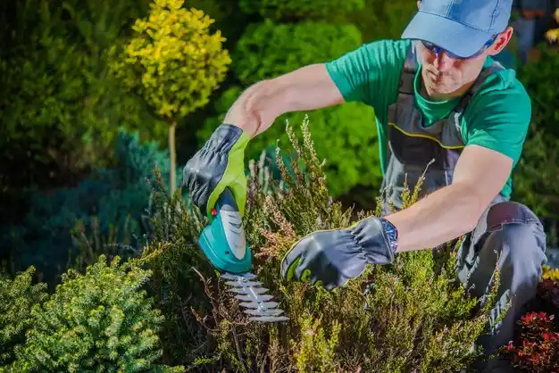 landscaping services Arnold Line
